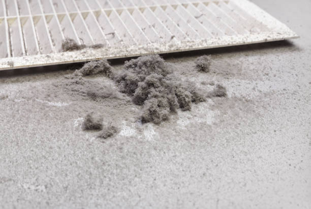 Best Ductwork Cleaning Services  in Vidalia, GA