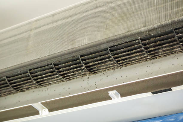 Best Air Vent Cleaning Services  in Vidalia, GA